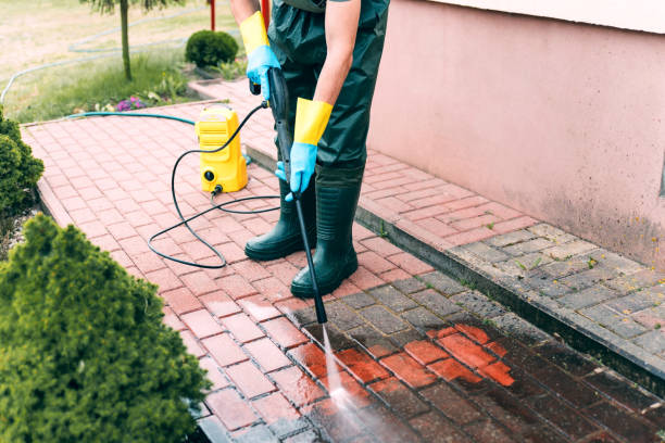 Best Building Exterior Washing  in Edgewood, PA